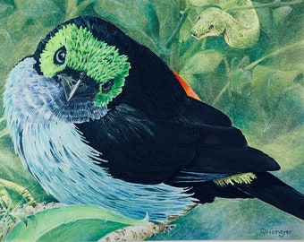 Amazon Tanager Giclee Print, Colorful Songbird Art, Wall Decor