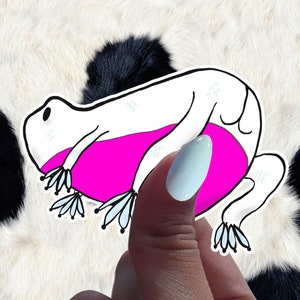 Frogooty - Edition 2 - Autocollants Frog Butt - Autocollants Frog Bum - Pack d’autocollants