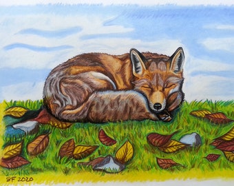 Kunstdruck A4, Fuchs