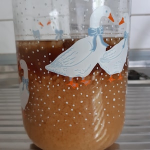 Op de afbeelding: Een glazen pot met een witte achtergrond en een ontwerp van drie witte ganzen met blauwe strikken. De pot is gevuld met een lichtbruine vloeistof en witte rijst.