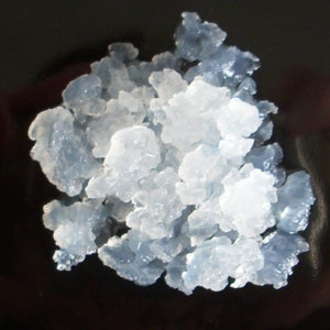 Wasserkefir Kefirkristalle Kefir Tibi aus gewerblicher Zucht zdjęcie 1