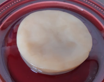 Kombucha Tea Mushroom Scoby pour 3 litres de boisson