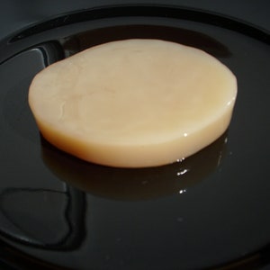Pode incluir: Um SCOBY de kombucha redondo de cor bege pálido em um prato preto.