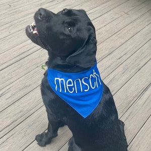 Mensch / Little Mensch Bandanas and Tees for Jewish Dogs or Cats