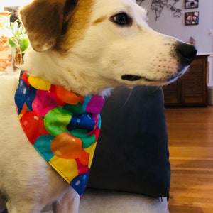 Gotcha Day Bandana