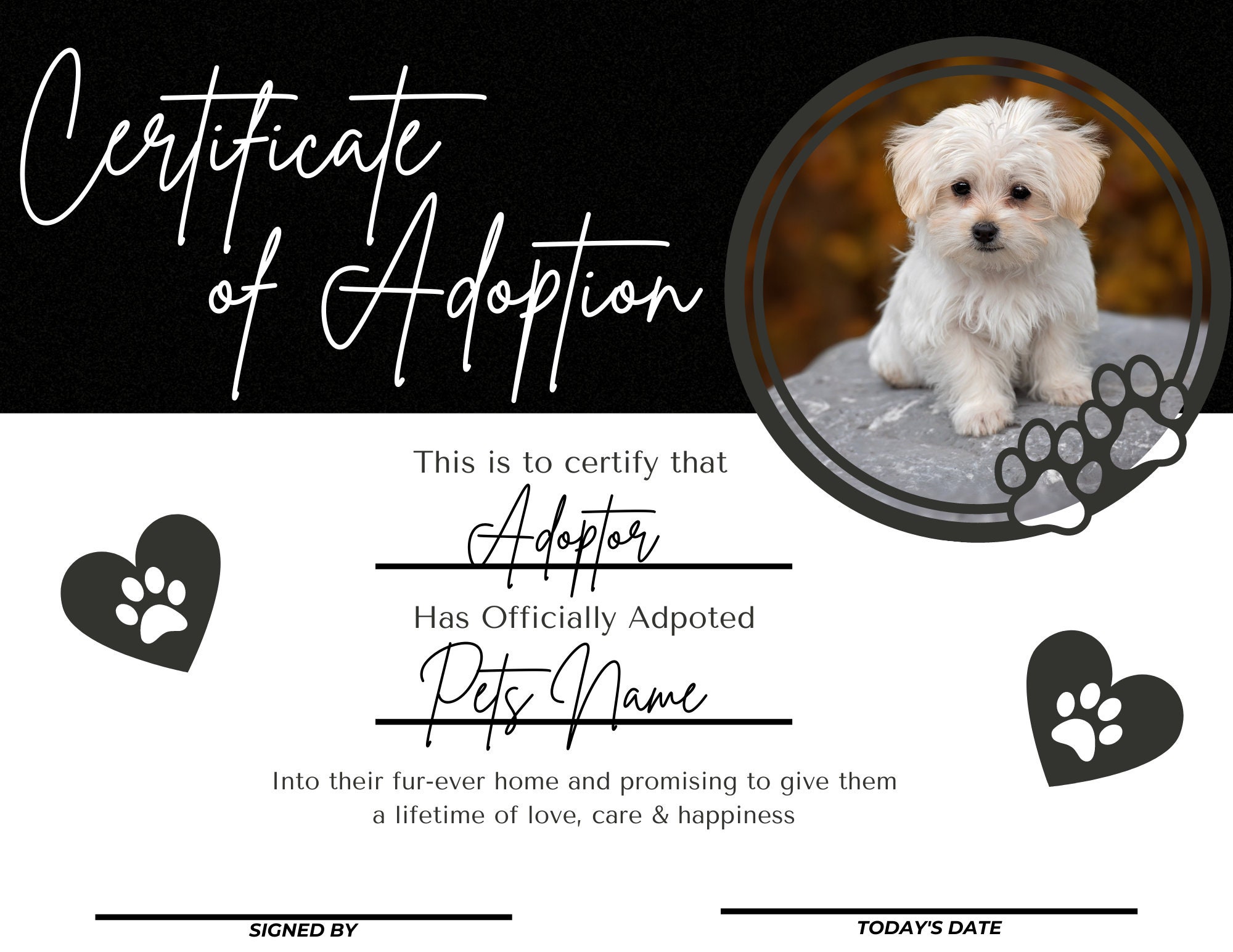 Pet Adoption Certificate Puppy Adoption Dog Adopt A Pet Vet Puppy ...