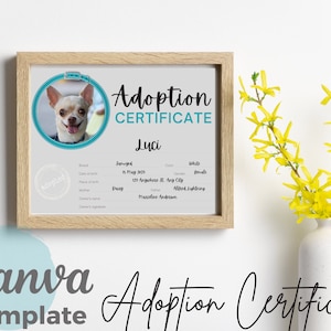 Huisdier adoptie geboorteakte puppy kitten adoptie hond kat adopteer een dierenarts puppy adoptie Instant Download digitale afdrukbare sjabloon 04