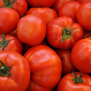 Beefsteak Tomato Seeds 100 Ct Vegetable Garden HEIRLOOM NON-GMO