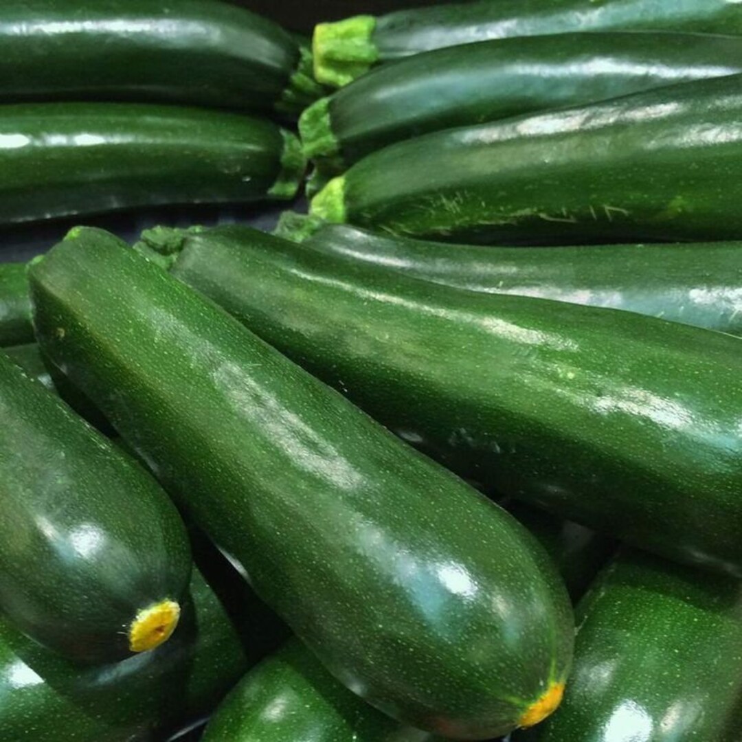 Black Beauty Squash Zucchini Seeds 25 Ct Summer Vegetable Garden NONGMO USA Etsy España