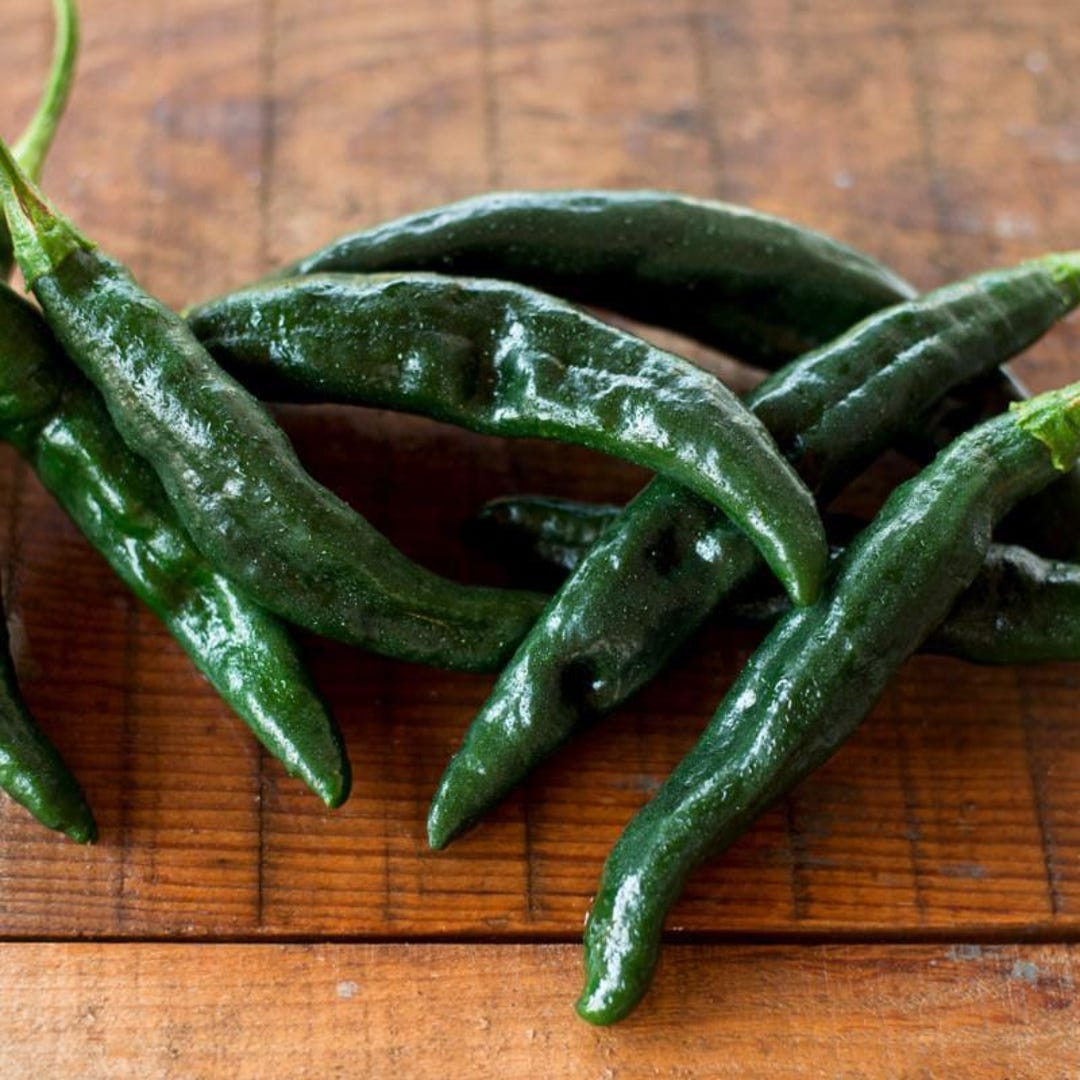 Pasilla Bajio Hot Pepper Seeds 25+ Vegetable NON-GMO HEIRLOOM - Etsy
