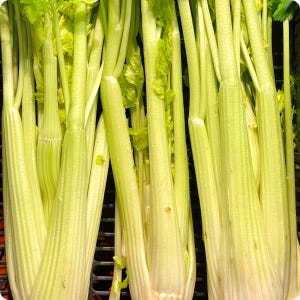 May include: Fresh celery stalks with light green leaves. The stalks are pale green and have a ribbed texture. The image shows a close-up of the celery, highlighting its freshness and crispness. The celery is arranged in a bunch, ready for sale.