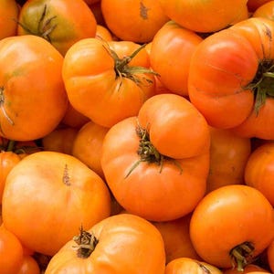 May include: A close-up shot of a pile of ripe, orange tomatoes. The tomatoes have irregular shapes and green stems. The lighting highlights the texture and color variations of the fruit, suggesting freshness and natural produce.