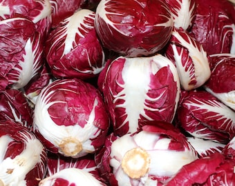 May include: A close-up of a pile of red and white radicchio, a type of leafy green vegetable.