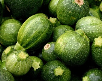 Könnte beinhalten: Eine Nahaufnahme einer Gruppe grüner Zucchini. Die Zucchini sind in einem Stapel angeordnet, wobei sich einige überlappen. Die Zucchini sind alle glatt und haben eine leicht unebene Textur.