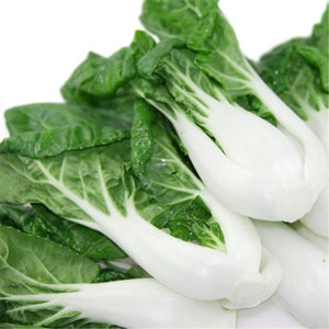 Pak Choi Seeds 300+ White Stem Cabbage Chinese NON-GMO USA