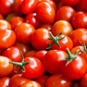 May include: A close-up image of a bowl overflowing with bright red cherry tomatoes. The tomatoes are arranged in a random pattern, showcasing their smooth, round shape and vibrant color.