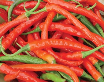 May include: A pile of red chili peppers with green stems. The peppers are long and thin, and they are arranged in a random pattern.