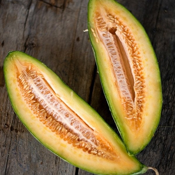 Banana Melon Cantaloupe Seeds 50+ Muskmelon Fruit Heirloom USA