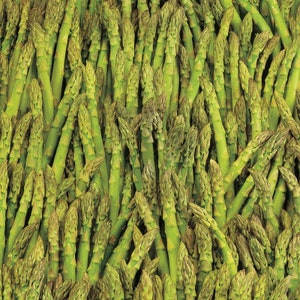 Asparagus Mary Washington Seeds 100+ Vegetable Garden NON-GMO USA