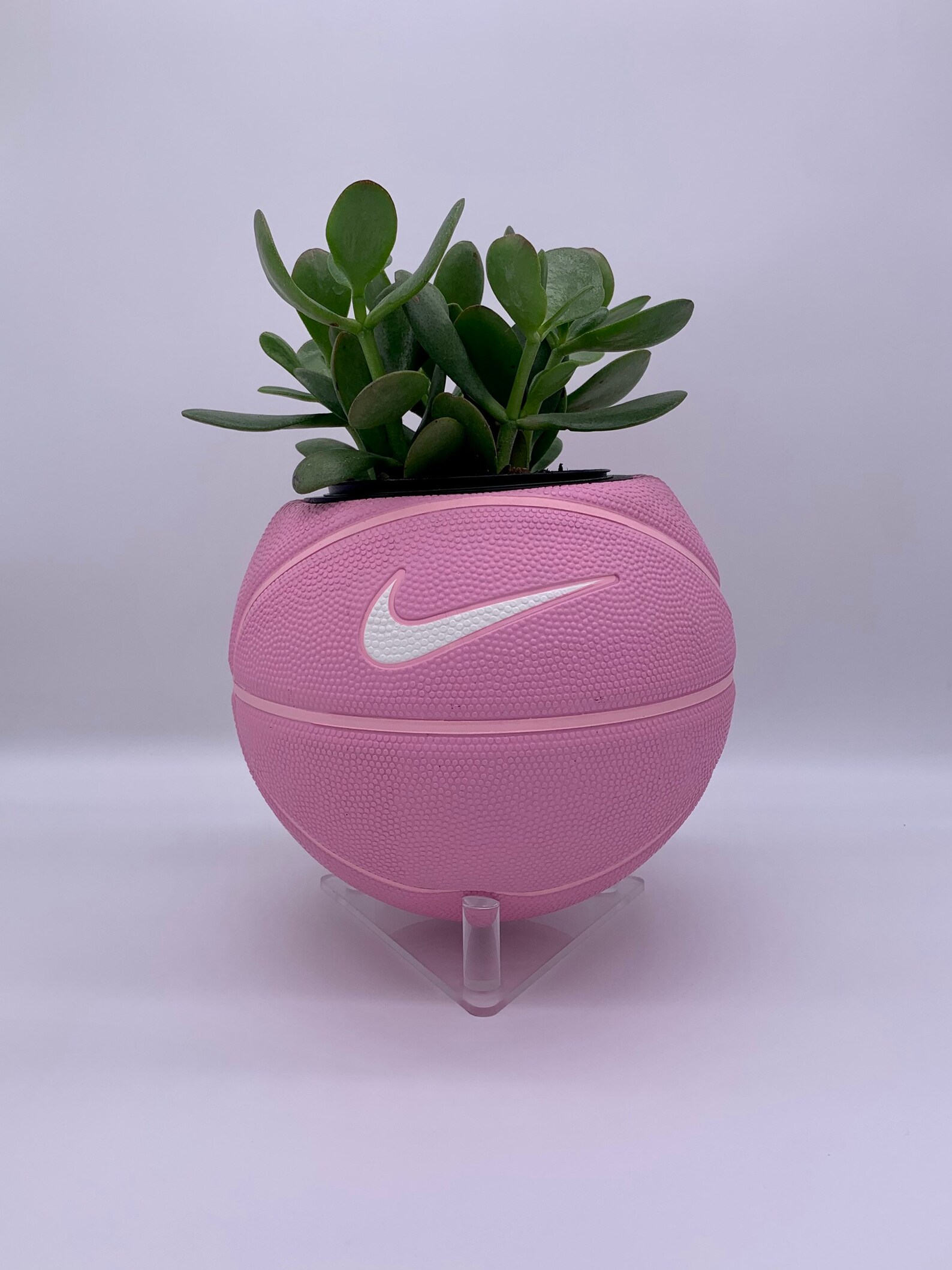 Pink Mini Nike Basketball Planter / Indoor Planter / Mini Size Etsy