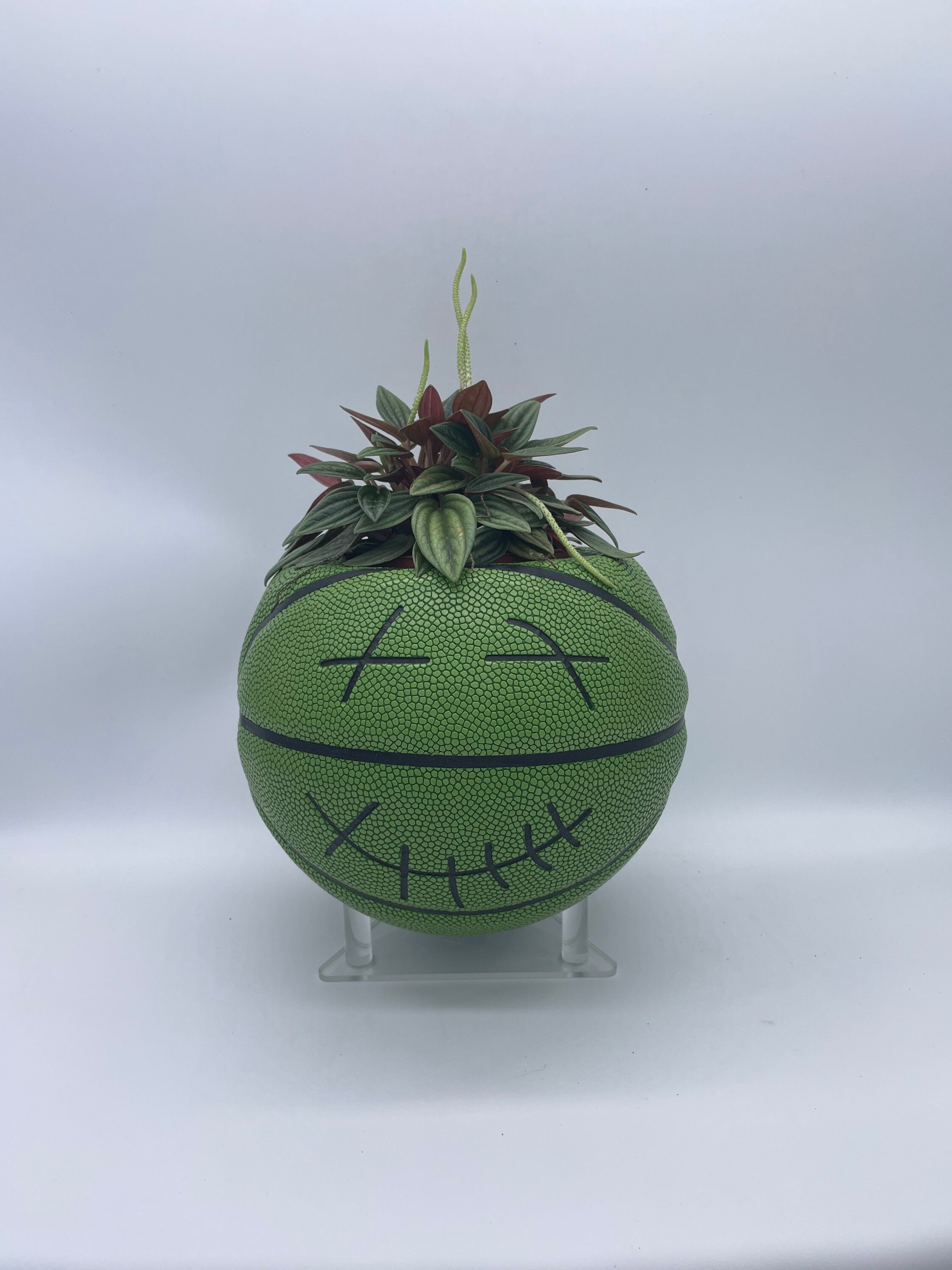 Cactus Jack Mini Basketball Planter / Indoor Planter / Mini Etsy