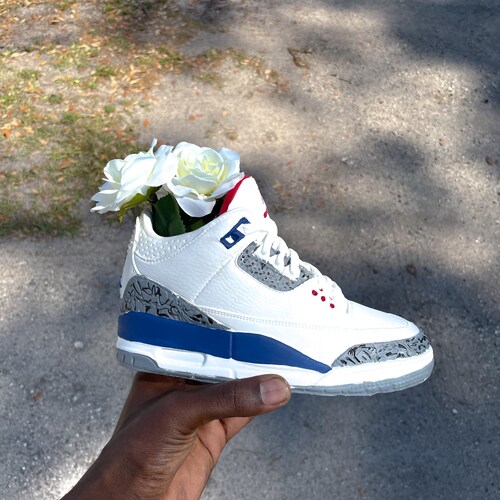 UNC Air Jordan 1 Sneaker Planter by Potdega / Shoe Pot / Shoe Etsy