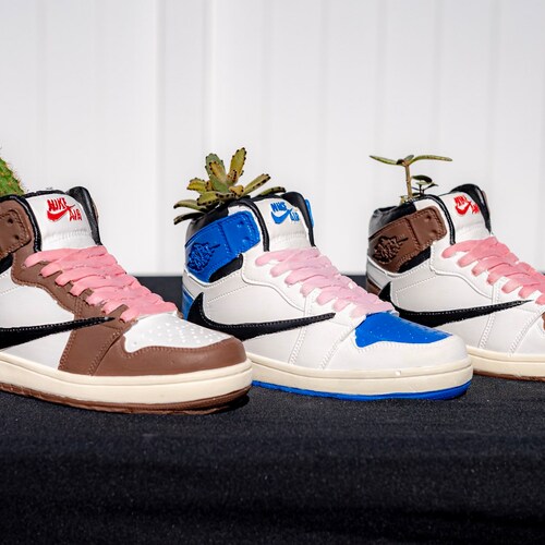 UNC Air Jordan 1 Sneaker Planter by Potdega / Shoe Pot / Shoe Etsy