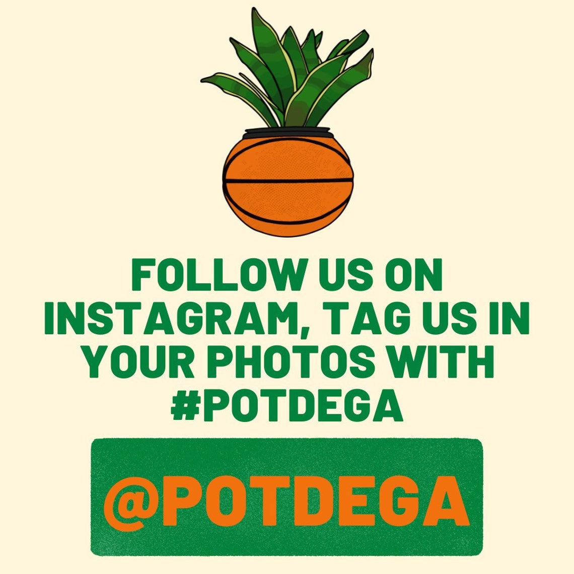 UNC Air Jordan 1 Sneaker Planter by Potdega / Shoe Pot / Shoe Etsy