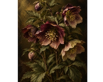 Puede incluir: Una pintura botánica que presenta flores de eléboro de color púrpura oscuro y crema con estambres amarillos prominentes y pétalos moteados. El arreglo floral incluye varias flores abiertas y capullos cerrados sobre un fondo oscuro.