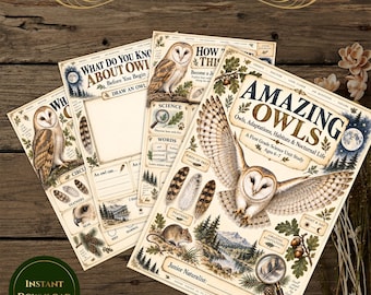 May include: Three educational worksheets titled Amazing Owls, A First Grade Education Pack. The pages feature illustrations of barn owls, feathers, a mouse, and a magnifying glass, with text prompts for science, words, and nature study activities.