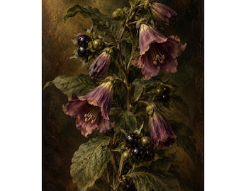 Puede incluir: Una pintura botánica de Atropa belladonna que muestra flores púrpuras en forma de campana con estambres prominentes, hojas dentadas de color verde oscuro y racimos de bayas negras brillantes sobre un fondo oscuro y sombrío.