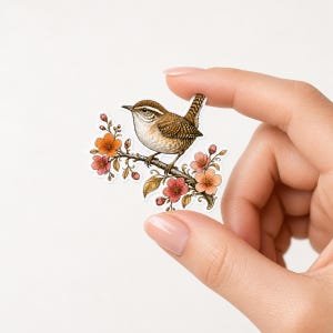 May include: A die-cut sticker featuring a brown wren perched on a flowering branch. The bird has detailed plumage and a white eyebrow stripe. The branch is adorned with orange and pink blossoms and green leaves, rendered in a detailed illustration style.