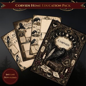 May include: A Corvids Home Education Pack featuring multiple printed pages with dark, ornate borders. The designs include illustrations of ravens, skulls, moon phases, and vintage books, with text labels such as Corvids and Ravens in Mythology.