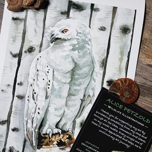 Schneeeule,  Illustration A4 Druck, Giclée Kunstdruck, Inneneinrichtung, Wohnkultur, Illustration, Tierkunst