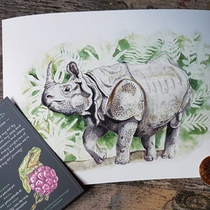Op de afbeelding: Waterverf schilderij van een neushoorn in een groene jungle setting. De neushoorn is grijs met een zwarte hoorn en loopt naar rechts. De achtergrond is een waterverf was van groen en wit.