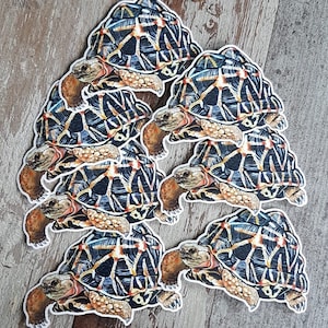 Indische Sternenschildkröte Vinyl Aufkleber