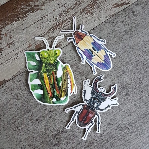 Insekten Sticker Bundle, Vinyl Aufkleber