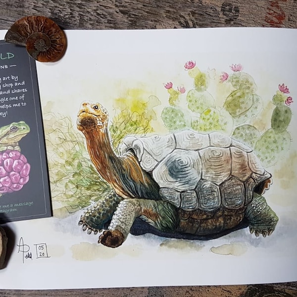 Galapagos Schildkröte, Illustration A4 Druck, Giclée Kunstdruck, Inneneinrichtung, Wohnkultur, Illustration, Tierkunst