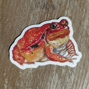 Tomatenfrosch Vinyl Aufkleber