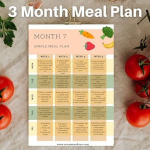 3 Month Meal Plan