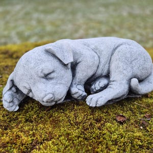 Steinfigur  Hund Gartenfigur massive Figur