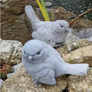 Peut inclure: Deux statues d'oiseaux en béton gris, avec des détails sur les ailes et les plumes de la queue. Les oiseaux sont perchés sur des rochers près de l'eau, créant une scène de décoration de jardin naturaliste. Les statues ont une surface texturée et un aspect légèrement vieilli.