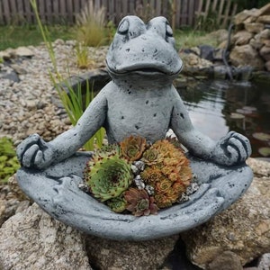 Könnte beinhalten: Eine graue Beton-Froschfigur in meditativer Pose, die einen Topf mit grünen und braunen Sukkulenten hält. Der Frosch sitzt auf einem Stein in der Nähe eines Teichs.