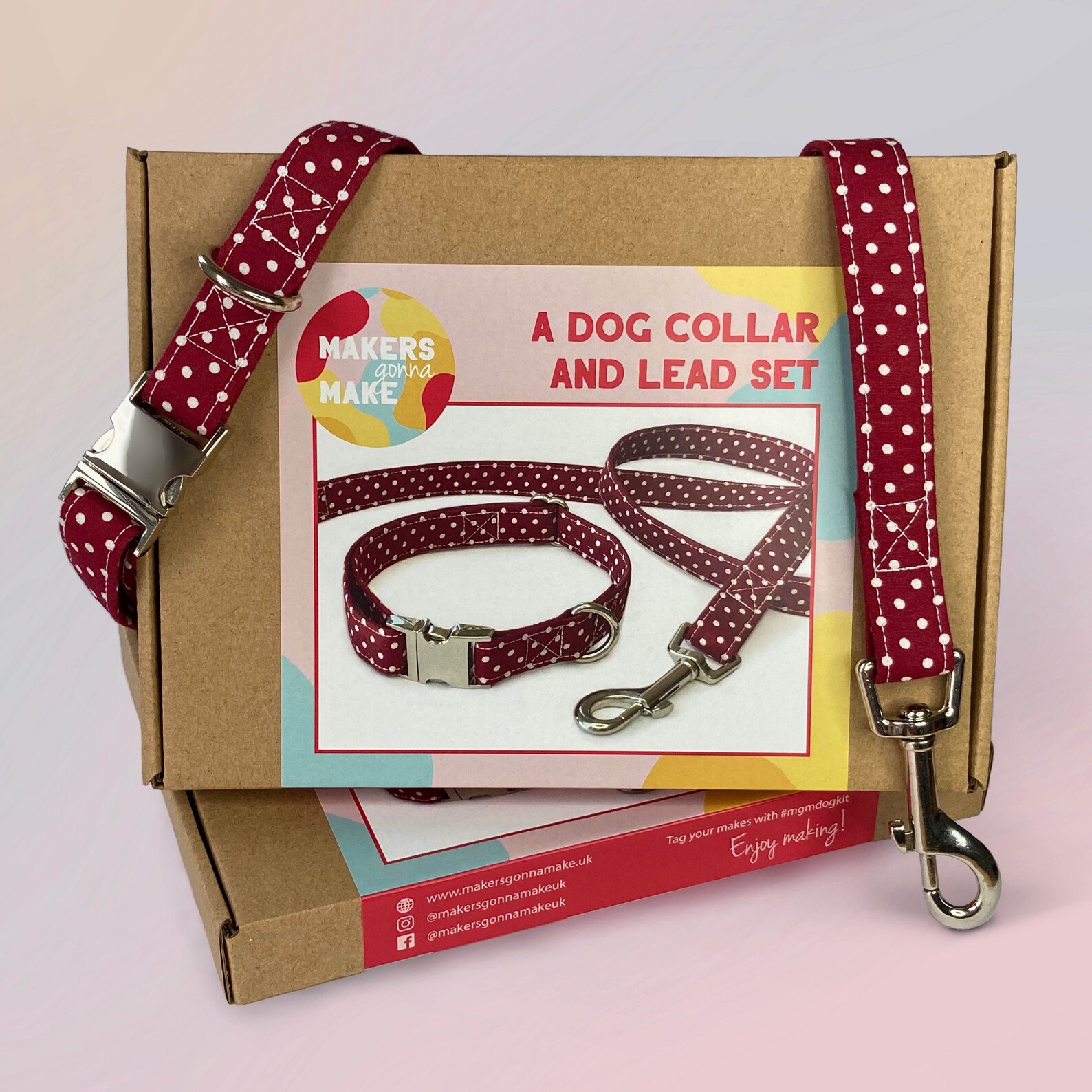 Dog Collar and Lead Craft Kit Etsy