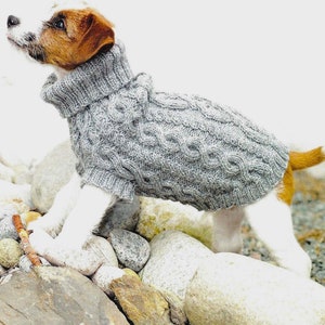May include: A small dog wearing a gray knitted sweater with a cable knit pattern. The sweater has a turtleneck collar. The dog is standing on a bed of rocks.