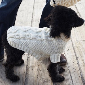 May include: A black dog wearing a white knitted jumper with a cable knit pattern. The dog is standing on a wooden surface.