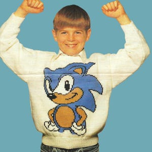 May include: A white knitted sweater with a blue and brown Sonic the Hedgehog graphic.
