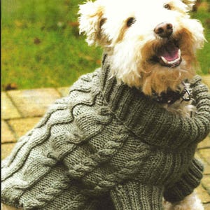 May include: A small white dog wearing a green cable knit jumper. The jumper has a high neck and a cable knit pattern.