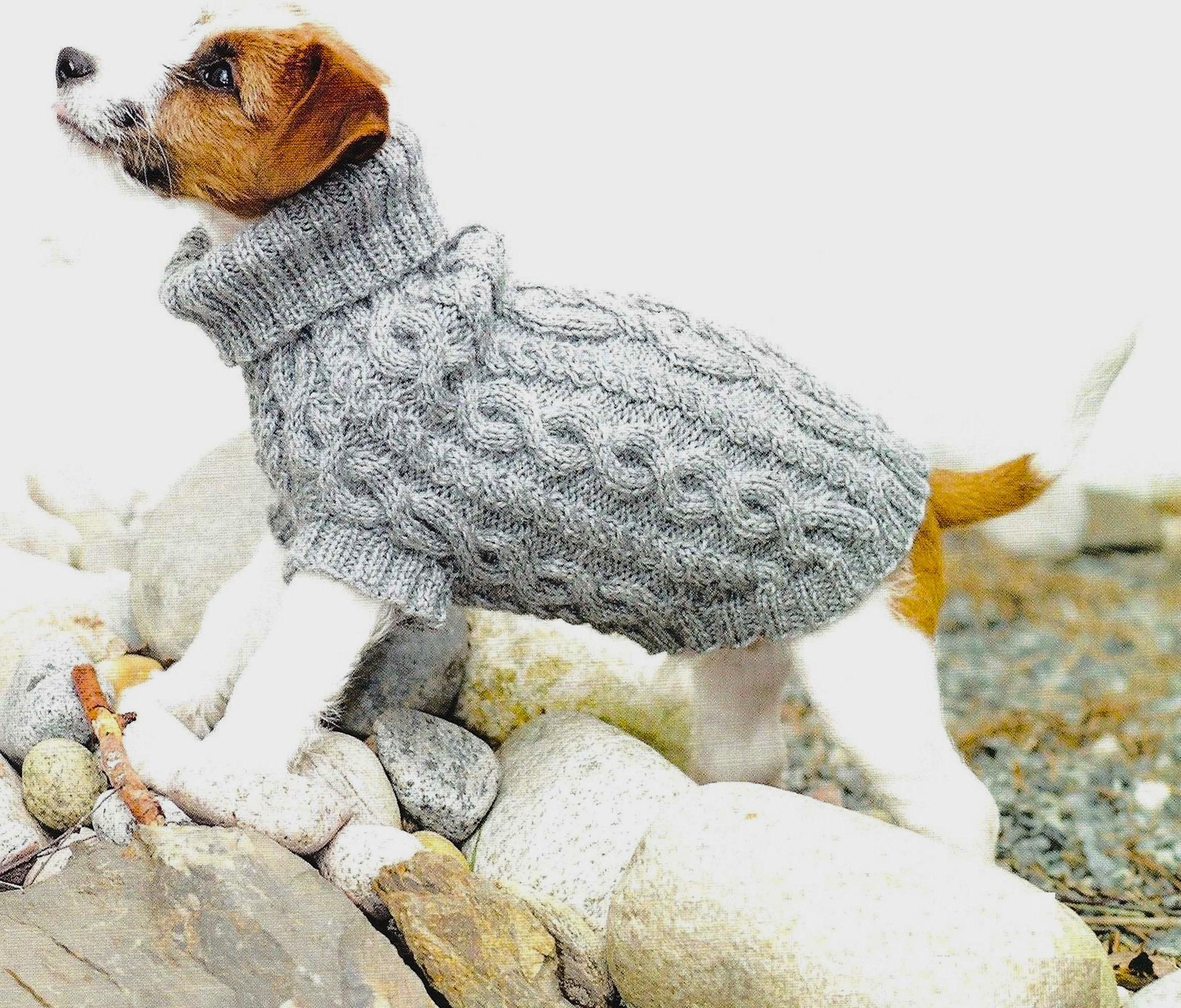 Knitting Patterns Free Dog UK