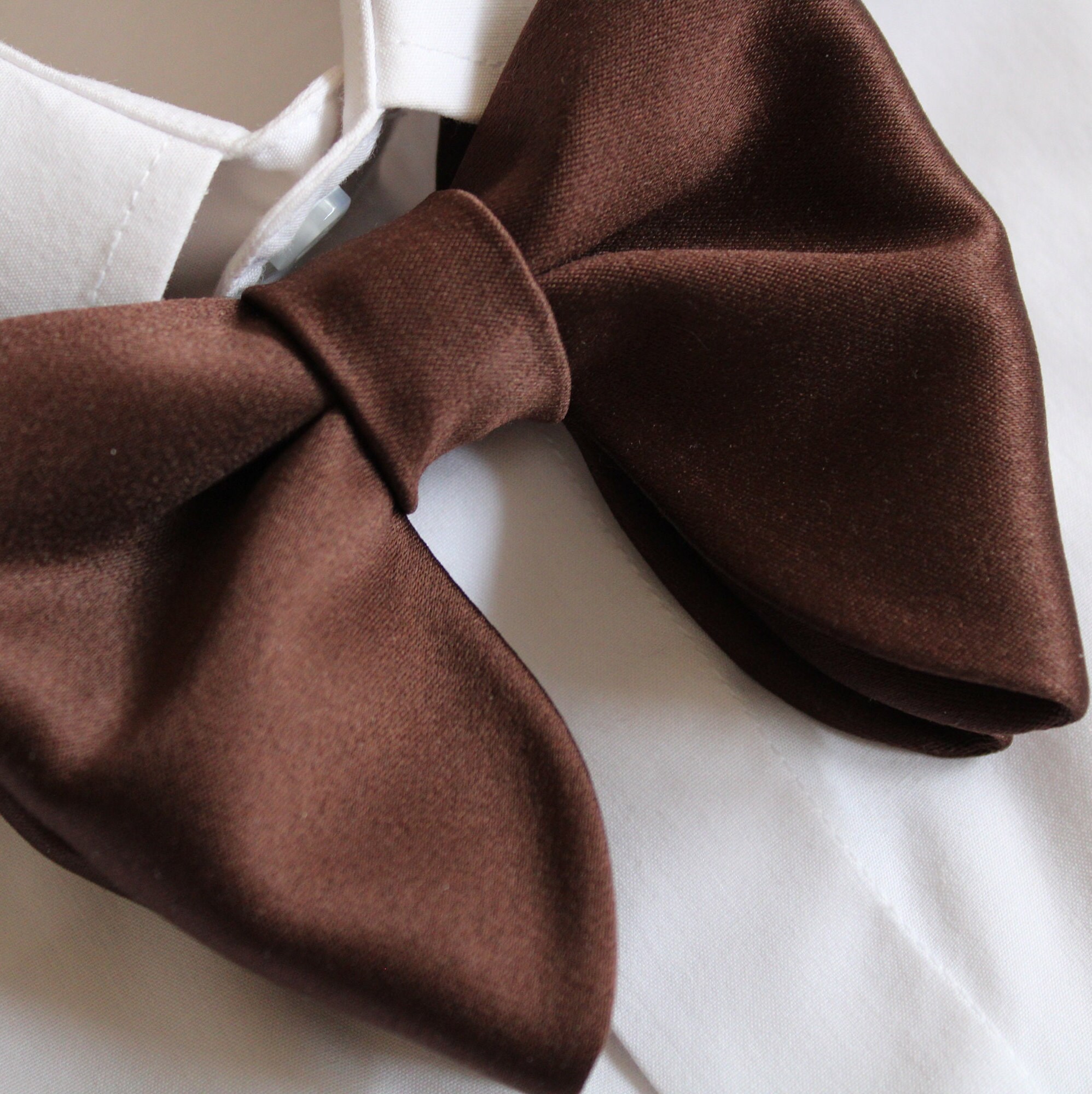 large butterfly bow tie